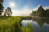 Morgennebel am Geroldsee, Werdenfelser Land, Bayern, Deutschland