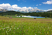 Meadow at Geroldsee, view to Karwendel, Werdenfels region, Bavaria, Germany