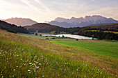 Blumenwiese am Geroldsee, Blick auf Soierngruppe und Karwendel, Werdenfelser Land, Bayern, Deutschland