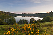 Weinfelder Maar (Totenmaar), near Daun, Eifelsteig hiking trail, Vulkaneifel, Eifel, Rhineland-Palatinate, Germany