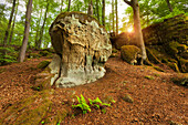 Teufelsschlucht, nature park Suedeifel, Eifel, Rhineland-Palatinate, Germany