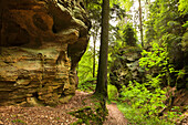 Rock formation Schweinestaelle, near Bollendorf, nature park Suedeifel, Eifel, Rhineland-Palatinate, Germany
