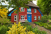 House Schifferwiege at Wustrow, Darss, Baltic Sea, Mecklenburg-West Pomerania, Germany