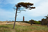 Leuchtturm am Darsser Ort, Nationalpark Vorpommersche Boddenlandschaft, Ostsee, Mecklenburg-Vorpommern, Deutschland