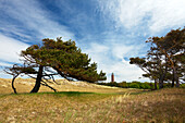 Leuchtturm am Darsser Ort, Darss, Nationalpark Vorpommersche Boddenlandschaft, Ostsee, Mecklenburg-Vorpommern, Deutschland