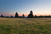 Am Kahlen Asten, bei Winterberg, Rothaarsteig, Rothaargebirge, Sauerland, Nordrhein-Westfalen, Deutschland