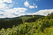 Aussichtsturm auf dem Berg „Hohe Bracht“,  Rothaargebirge, Sauerland, Nordrhein-Westfalen, Deutschland