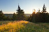 Sunset at Schneekopf hill, nature park Thueringer Wald,  Thuringia, Germany