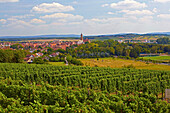 Blick vom Kirchberg auf Volkach, Unterfranken, Bayern, Deutschland, Europa