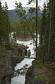 Sunwapta Falls, Sunwapta River, Jasper National Park, Rocky Mountains, Alberta, Canada