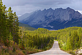 Landschaft am Maligne River, Jasper National Park, Rocky Mountains, Alberta, Kanada