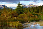 Früher Morgen an den Vermillion Lakes, Banff, Banff National Park, Rocky Mountains, Alberta, Kanada