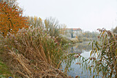 Blick über Schilf und Weiher auf Kloster Heidenfeld, Gemeinde Röthlein, Unterfranken, Bayern, Deutschland, Europa