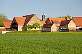 Bauernhäuser in Mutzenroth, Markt Oberschwarzach, Frühling, Unterfranken, Bayern, Deutschland, Europa