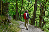 Young woman is hiking through a wood on the hiking trail Harzer Hexen Stieg from Thale to Treseburg, Spring, Harz Foreland, Harz Mountains, Saxony-Anhalt, Germany