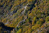 View from Prinzensicht near Witches dancing place (Hexentanzplatz), to rocks, cliffs and colorful trees in autumn, Bode Valley,  Thale, Harz Foreland, Harz Mountains, Saxony-Anhalt, Germany