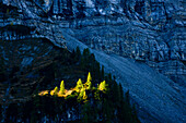 Morning light at sunrise illuminates group of trees in Laliderer Wände, autumn, Engalm, Großer Ahornboden, Hinterriß, Engtal valley, Northern limestone alps, Karwendel Mountains, Tyrol, Austria, European Alps, Europe