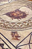 Mosaic on the floor of the city museum, Museu Municipal, Faro, Algarve, Portugal
