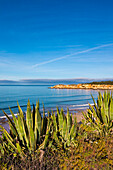 Blick auf den Strand, Praia do Vau, Praia da Rocha, Algarve, Portugal