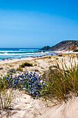 Dünen und Strand, Praia da Amoreira, Aljezur, Costa Vicentina, Algarve, Portugal