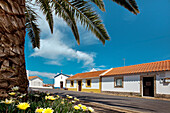 Dorfstrasse, Almograve, Costa Vicentina, Alentejo, Portugal