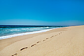 Strand bei Praia de Santo Andre, Santiago do Cacem, Costa Vicentina, Alentejo, Portugal