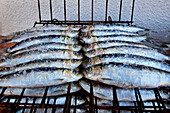 Sardines on a grill rack, Algarve, Portugal