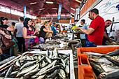 Fish market, market hall, Olhao, Algarve, Portugal