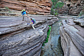 Hikers walk along Deer Creek Narrows in the Grand Canyon outside of Fredonia, Arizona November 2011.  The 21.4-mile loop starts at the Bill Hall trailhead on the North Rim and descends 2000-feet in 2.5-miles through Coconino Sandstone to the level Esplana