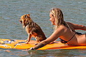 Surfer girl with a dog.