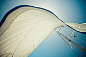 The mid day sun shines through the fabric of a main sail on a catamaran.