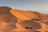 camp site in the Red sand dunes in the Sahara desert at Erg Chebbi, Merzouga. Morocco