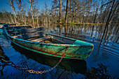 Cypress Gardens in South Carolina