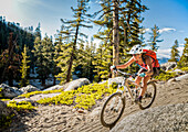 A woman is mountain biking on the Tahoe Rim Trail.