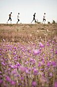 Four people are running past wildflowers, 9th July 2011, Jambil Province, Kazakhstan.