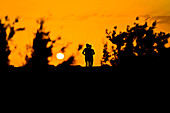 Two runners are silhouetted by the rising sun on 17th June 2011, Ahal Province, Turkmenistan.