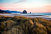 Tall grass under sunset sky on Cannon Beach, Oregon, United States