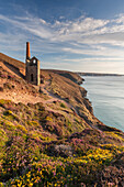 The abandoned Wheal Coates engine house, UNESCO World Heritage Site, on the Cornish cliffs near St. Agnes, Cornwall, England, United Kingdom, Europe