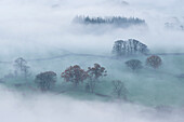 Mist covered rolling countryside at dawn, Lake District, Cumbria, England, United Kingdom, Europe