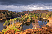 Picturesque Tarn Hows in winter, in the Lake District National Park, Cumbria, England, United Kingdom, Europe