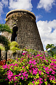 Mountpelier Plantation Inn, Nevis, St. Kitts and Nevis, Leeward Islands, West Indies, Caribbean, Central America