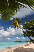 The branches of the palm trees create shade on the beach of Valley Church located on the West coast of Antigua, Leeward Islands, West Indies, Caribbean, Central America