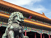 Bronze Chinese lion (female) guards the entry to the palace buildings, Forbidden City, Beijing, China, Asia
