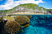Coral Reef, Niue
