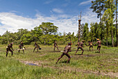 Dani men engaged in a mock battle with long spears, in a display of prowess and opulence of dress and decoration, Obia Village, Baliem Valley, Central Highlands of Western New Guinea, Papua, Indonesia