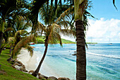 Beach In Mustique Island, St Vincent And The Grenadines, West Indies