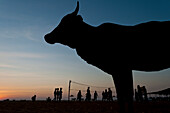Silhouette of cow in front of a group of people playing volleyball on the beach at dusk, Goa, India