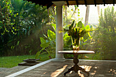Flowers and plants on verandah of villa early in the morning, Thalpe, Sri Lanka