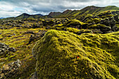 'The lush moss covered lava flows of Landmannalaugar in the highlands of Iceland; Iceland'