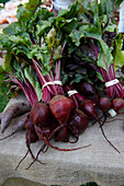 Bunch Of Beets, Riverdale Farmer's Market, Toronto, Ontario